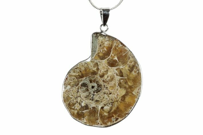 Fossil Ammonite Pendant - Million Years Old #238499